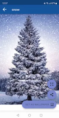 Snow Wallpapers android App screenshot 0